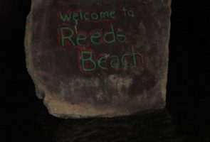 Reeds Tagging1