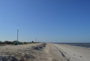 Restored Beach – After two seasons of rescuing thousands of impinged crabs at south end of Fortescue, the beach has been restored. Haddonfield Rescue Team