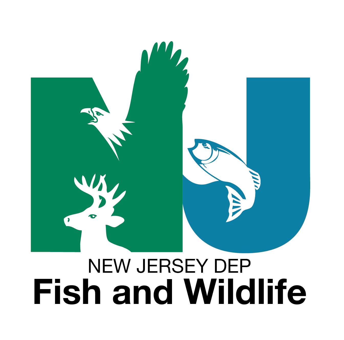 NJ Fish and Wildlife